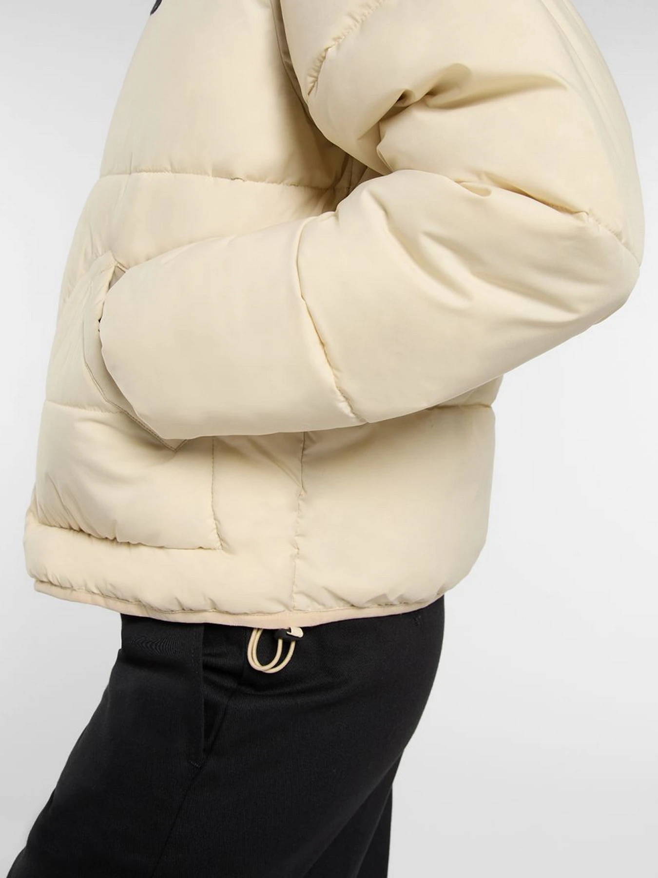 Куртки и дубленки Dickies SUMMERDALE PUFFER модель DK0A87OJL171 Куртки и дубленки Dickies SUMMERDALE PUFFER модель DK0A87OJL171 Фото