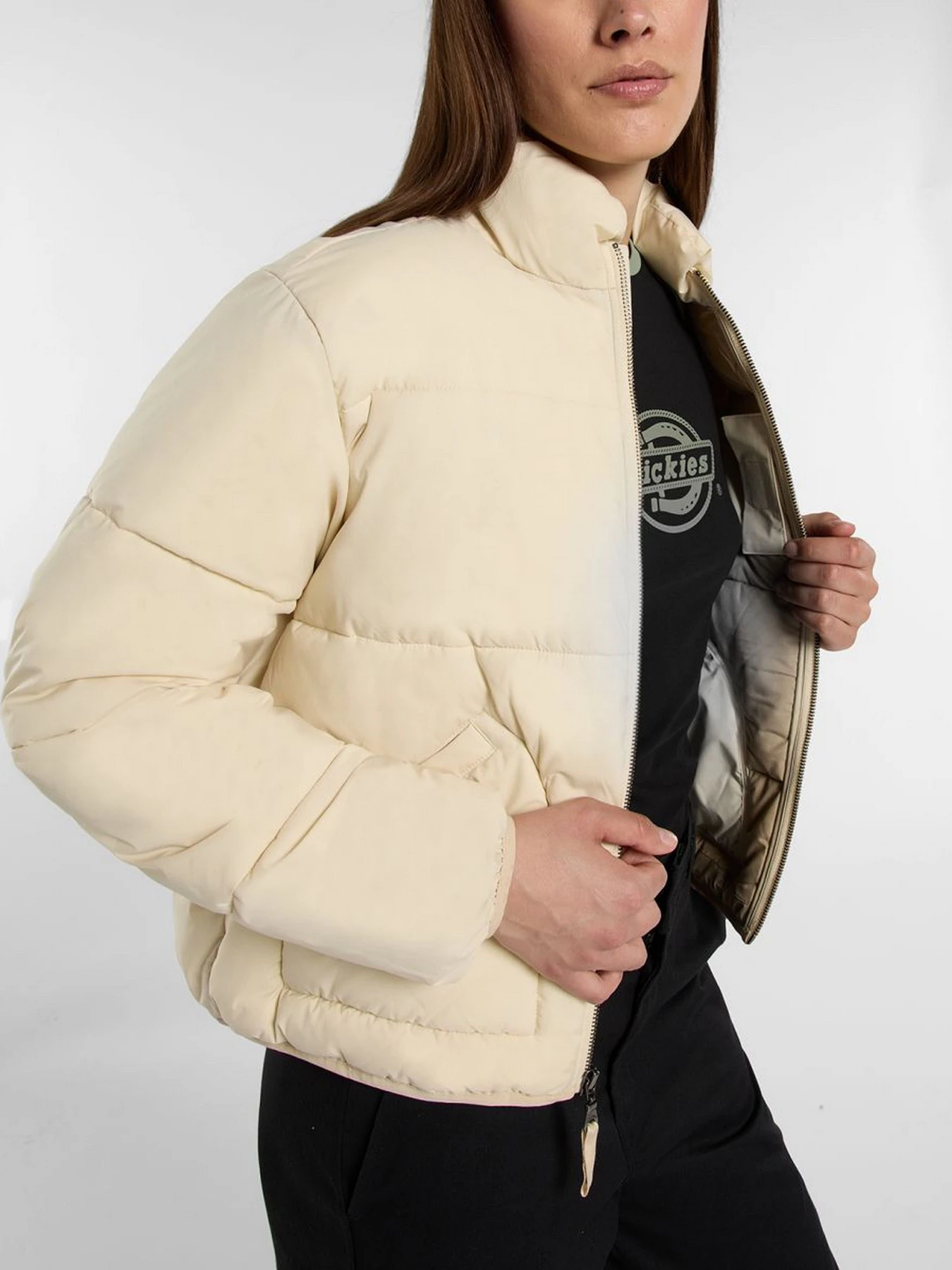 Куртки и дубленки Dickies SUMMERDALE PUFFER модель DK0A87OJL171 Куртки и дубленки Dickies SUMMERDALE PUFFER модель DK0A87OJL171 Фото