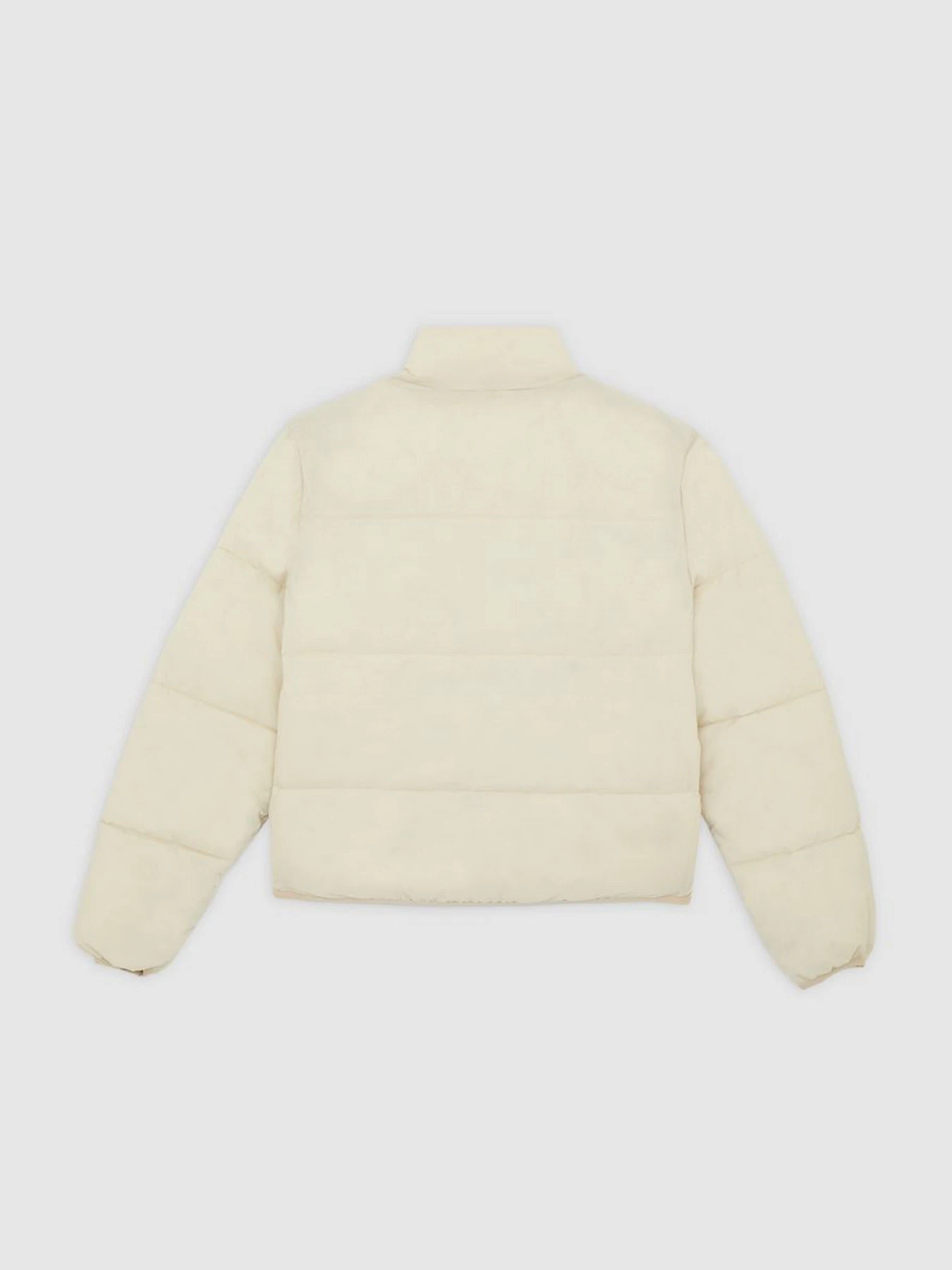Куртки и дубленки Dickies SUMMERDALE PUFFER модель DK0A87OJL171 Куртки и дубленки Dickies SUMMERDALE PUFFER модель DK0A87OJL171 Фото