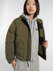Куртки и дубленки Dickies модель DK0A87OJMGR1 Фото
