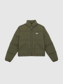 Куртки и дубленки Dickies модель DK0A87OJMGR1 Фото