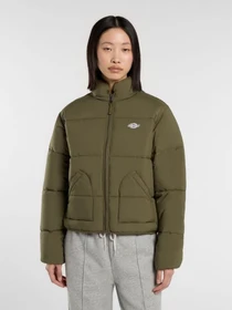 Куртки и дубленки Dickies модель DK0A87OJMGR1 Фото