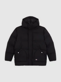 Куртки и дубленки Dickies EAGLEVILLE HOODED PUFFER модель DK0A87OLBLK1 Фото