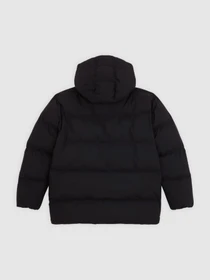 Куртки и дубленки Dickies EAGLEVILLE HOODED PUFFER модель DK0A87OLBLK1 Фото