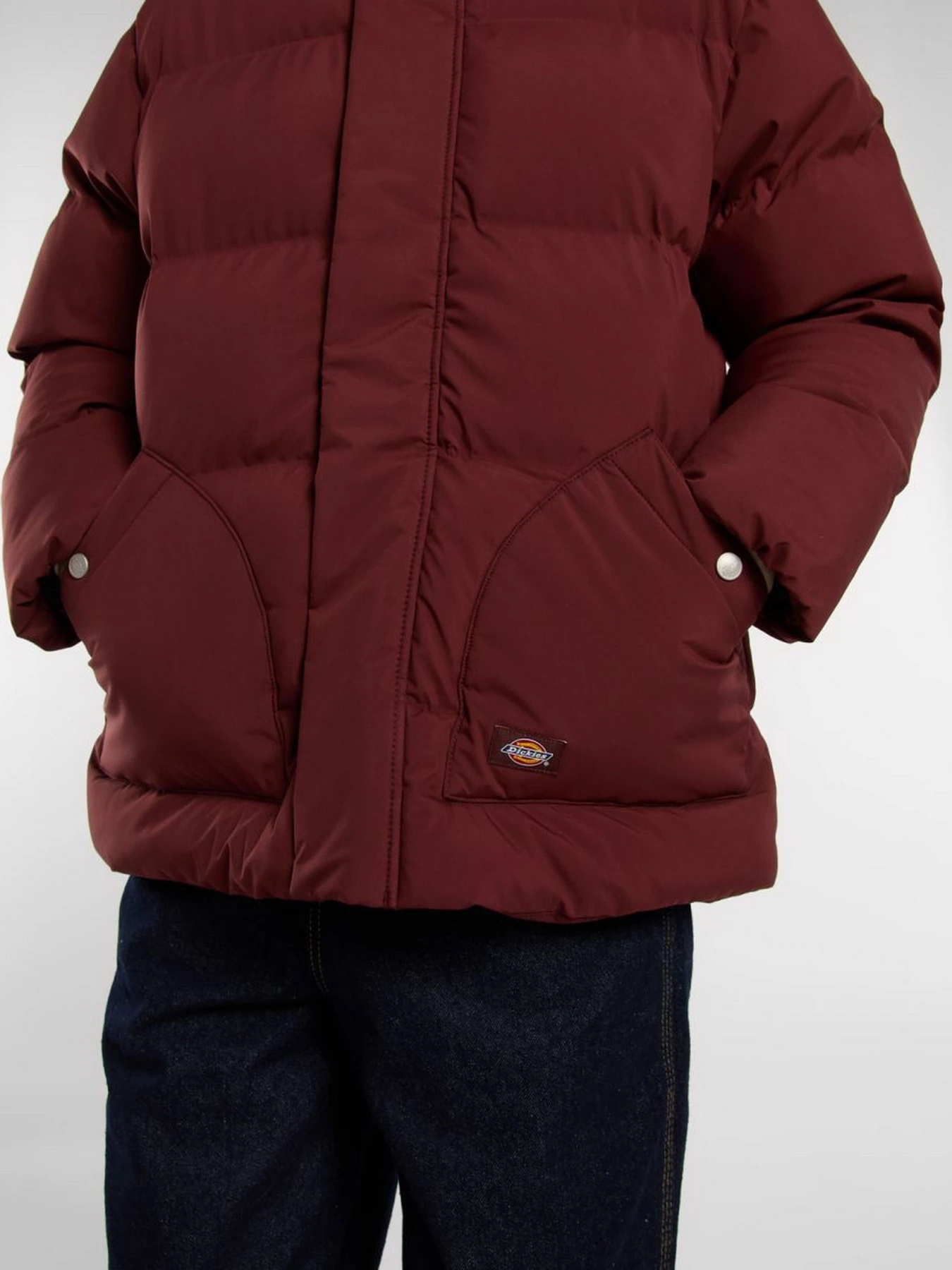 Куртки и дубленки Dickies EAGLEVILLE HOODED PUFFER модель DK0A87OLL161 Куртки и дубленки Dickies EAGLEVILLE HOODED PUFFER модель DK0A87OLL161 Фото