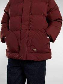 Куртки и дубленки Dickies EAGLEVILLE HOODED PUFFER модель DK0A87OLL161 Фото