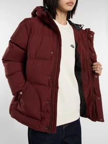 Куртки и дубленки Dickies EAGLEVILLE HOODED PUFFER модель DK0A87OLL161 Фото