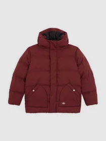 Куртки и дубленки Dickies EAGLEVILLE HOODED PUFFER модель DK0A87OLL161 Фото