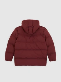 Куртки и дубленки Dickies EAGLEVILLE HOODED PUFFER модель DK0A87OLL161 Фото
