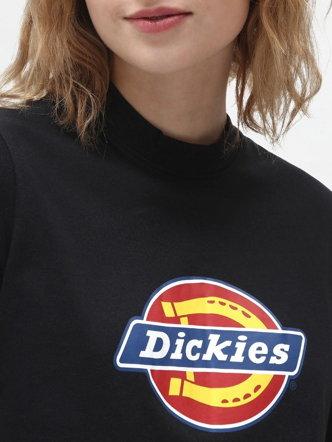 Футболки и поло Dickies модель DK0A4XCABLK1 Футболки и поло Dickies модель DK0A4XCABLK1 Фото