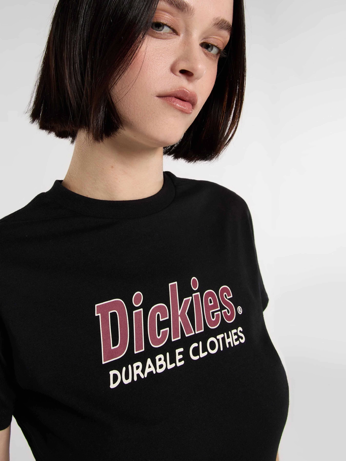 Футболки і поло Dickies Williston модель DK0A87Q5BLK1 Футболки і поло Dickies Williston модель DK0A87Q5BLK1 Фото