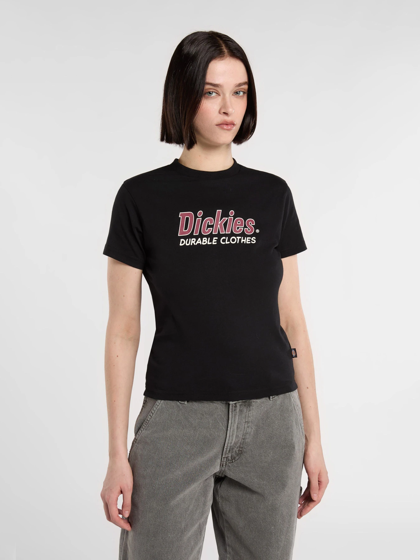 Футболки і поло Dickies Williston модель DK0A87Q5BLK1 Футболки і поло Dickies Williston модель DK0A87Q5BLK1 Фото