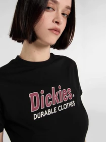 Футболки і поло Dickies Williston модель DK0A87Q5BLK1 Фото