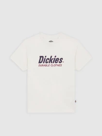 Футболки і поло Dickies Williston модель DK0A87Q5C481 Фото