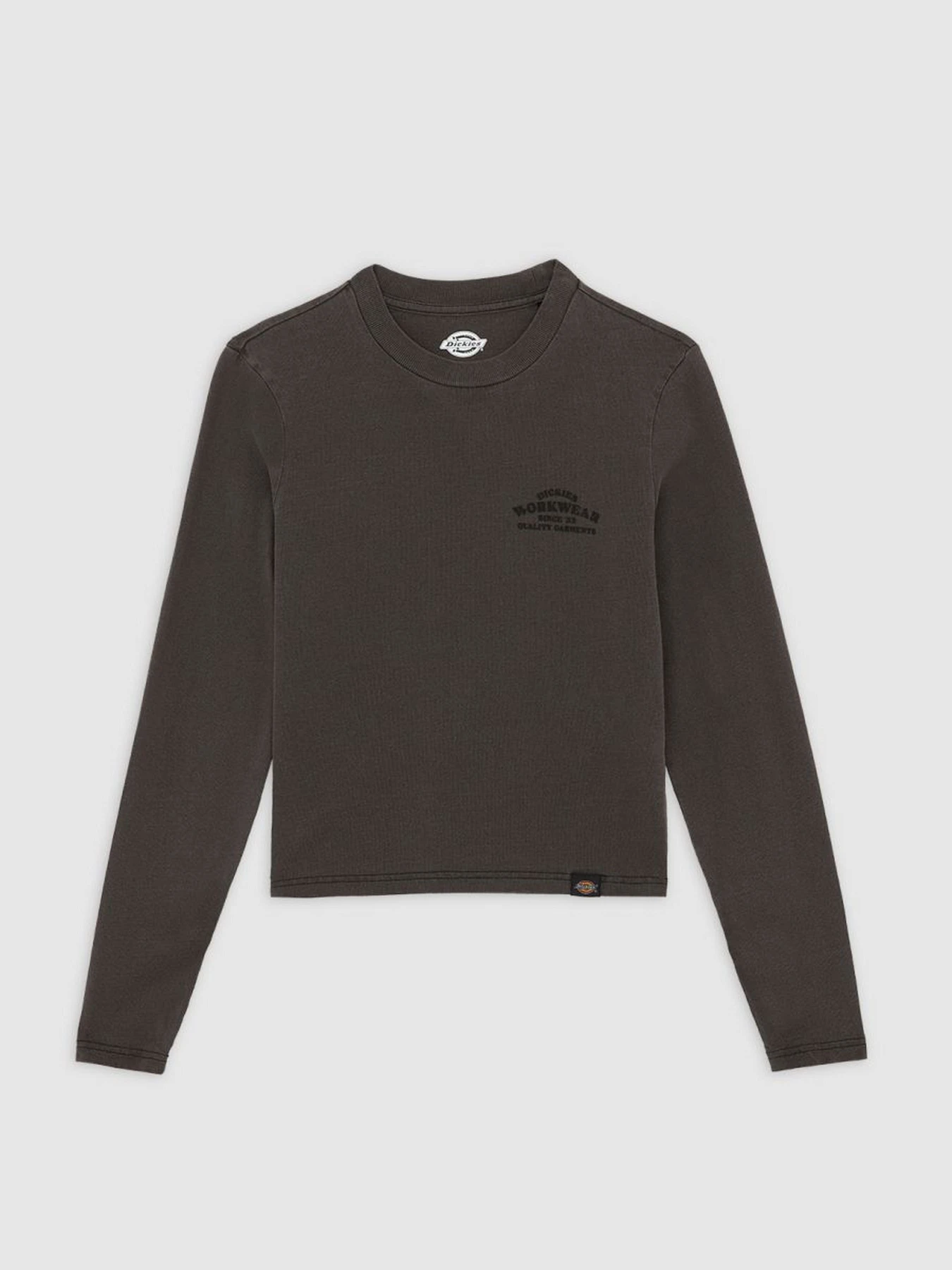 Худі та світшоти Dickies CHRISTIANA модель DK0A87Q6BLK1 Фото