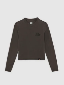 Худі та світшоти Dickies CHRISTIANA модель DK0A87Q6BLK1 Фото