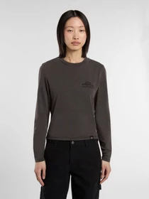 Худі та світшоти Dickies CHRISTIANA модель DK0A87Q6BLK1 Фото