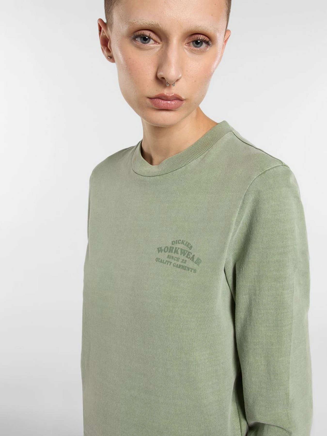 Худи и свитшоты Dickies CHRISTIANA модель DK0A87Q6L191 Худи и свитшоты Dickies CHRISTIANA модель DK0A87Q6L191 Фото