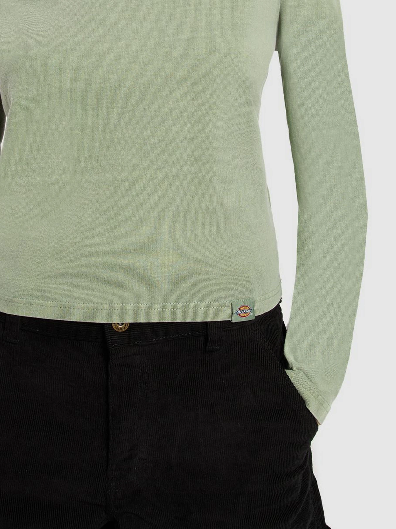 Худи и свитшоты Dickies CHRISTIANA модель DK0A87Q6L191 Худи и свитшоты Dickies CHRISTIANA модель DK0A87Q6L191 Фото