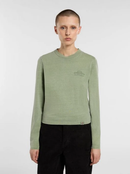 Худі та світшоти Dickies CHRISTIANA модель DK0A87Q6L191 Фото