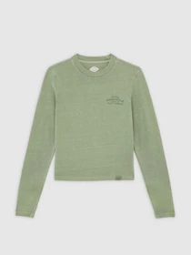 Худи и свитшоты Dickies CHRISTIANA модель DK0A87Q6L191 Фото