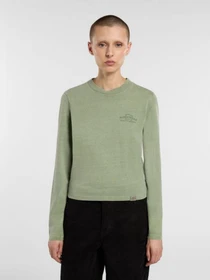 Худи и свитшоты Dickies CHRISTIANA модель DK0A87Q6L191 Фото