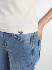 Футболки і поло Dickies Slayden Ringer модель DK0A87Q9C481 Фото