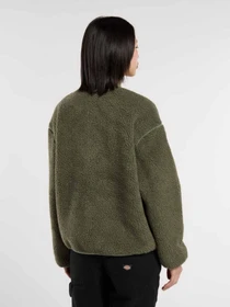 Куртки и дубленки Dickies модель DK0A88BNL191 Фото