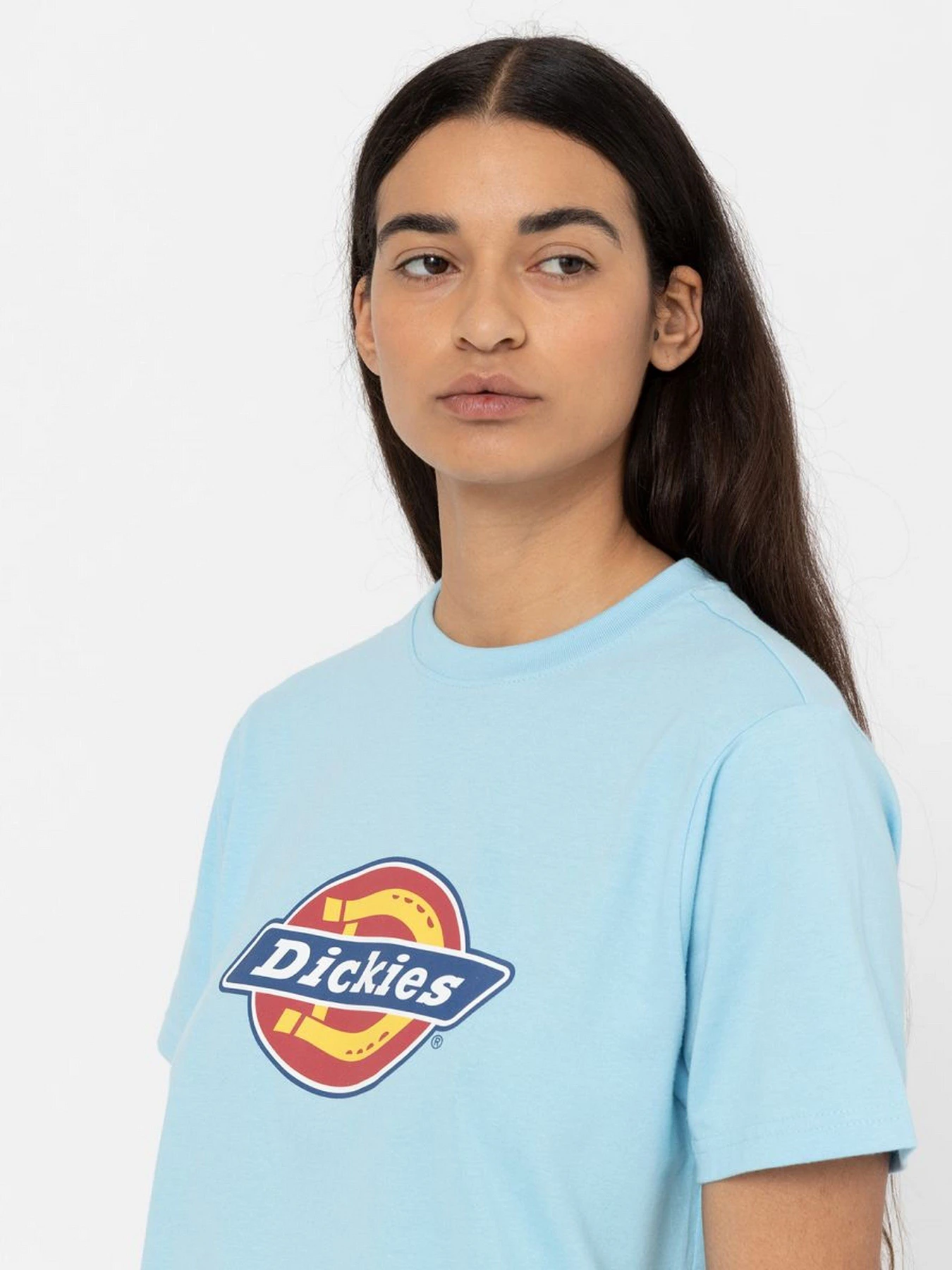 Футболки и поло Dickies Icon Logo Tee модель DK0A4XCAE651 Фото
