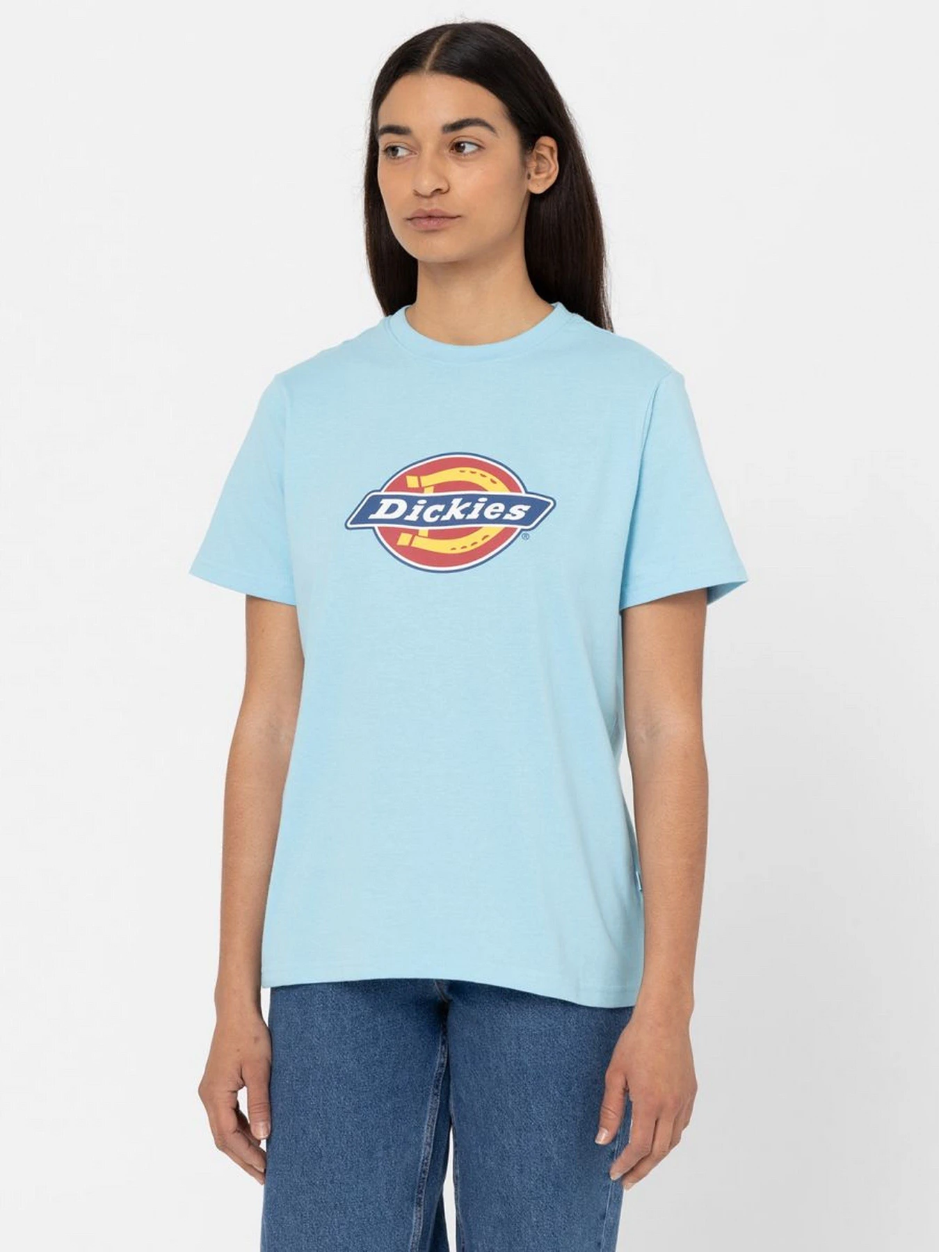 Футболки и поло Dickies Icon Logo Tee модель DK0A4XCAE651 Фото