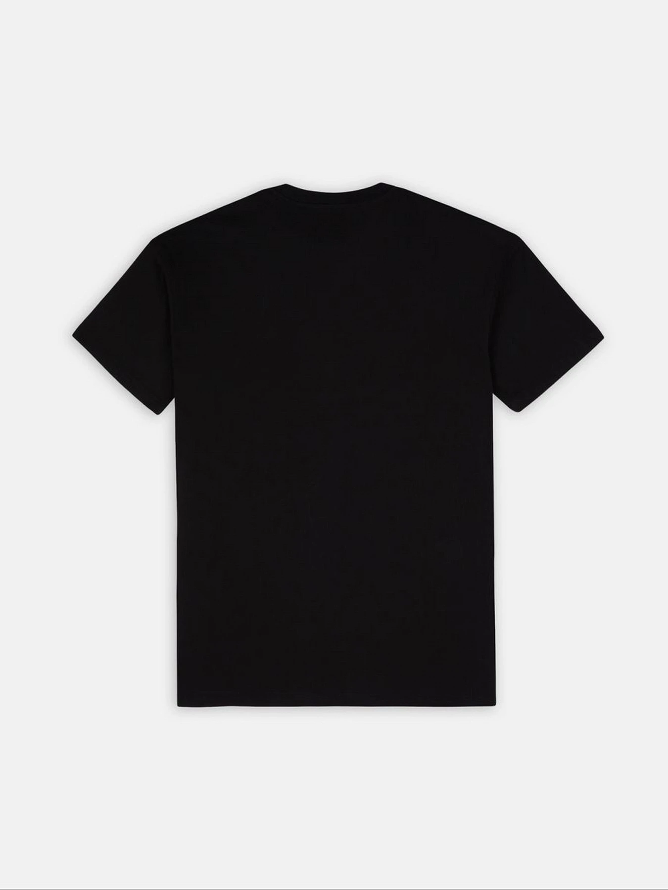 Платья Dickies модель DK0A4Y6JBLK1 Фото