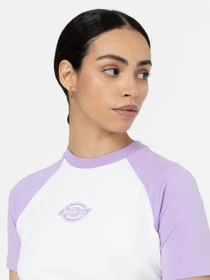 Футболки и поло Dickies Sodaville модель DK0A4Y8JE611 Фото