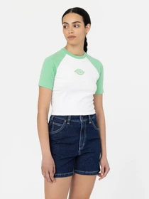 Футболки и поло Dickies Sodaville модель DK0A4Y8JE911 Фото