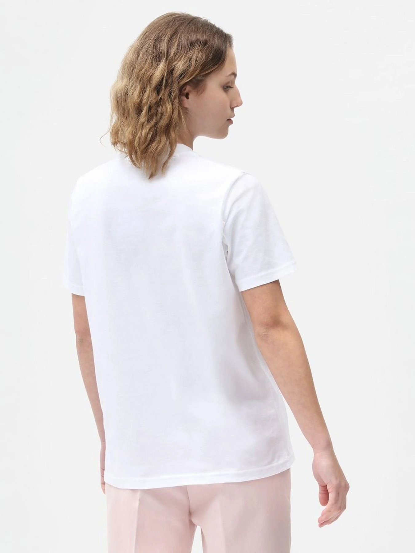 Футболки и поло Dickies Icon Logo Tee модель DK0A4XCAWHX1 Футболки и поло Dickies Icon Logo Tee модель DK0A4XCAWHX1 Фото