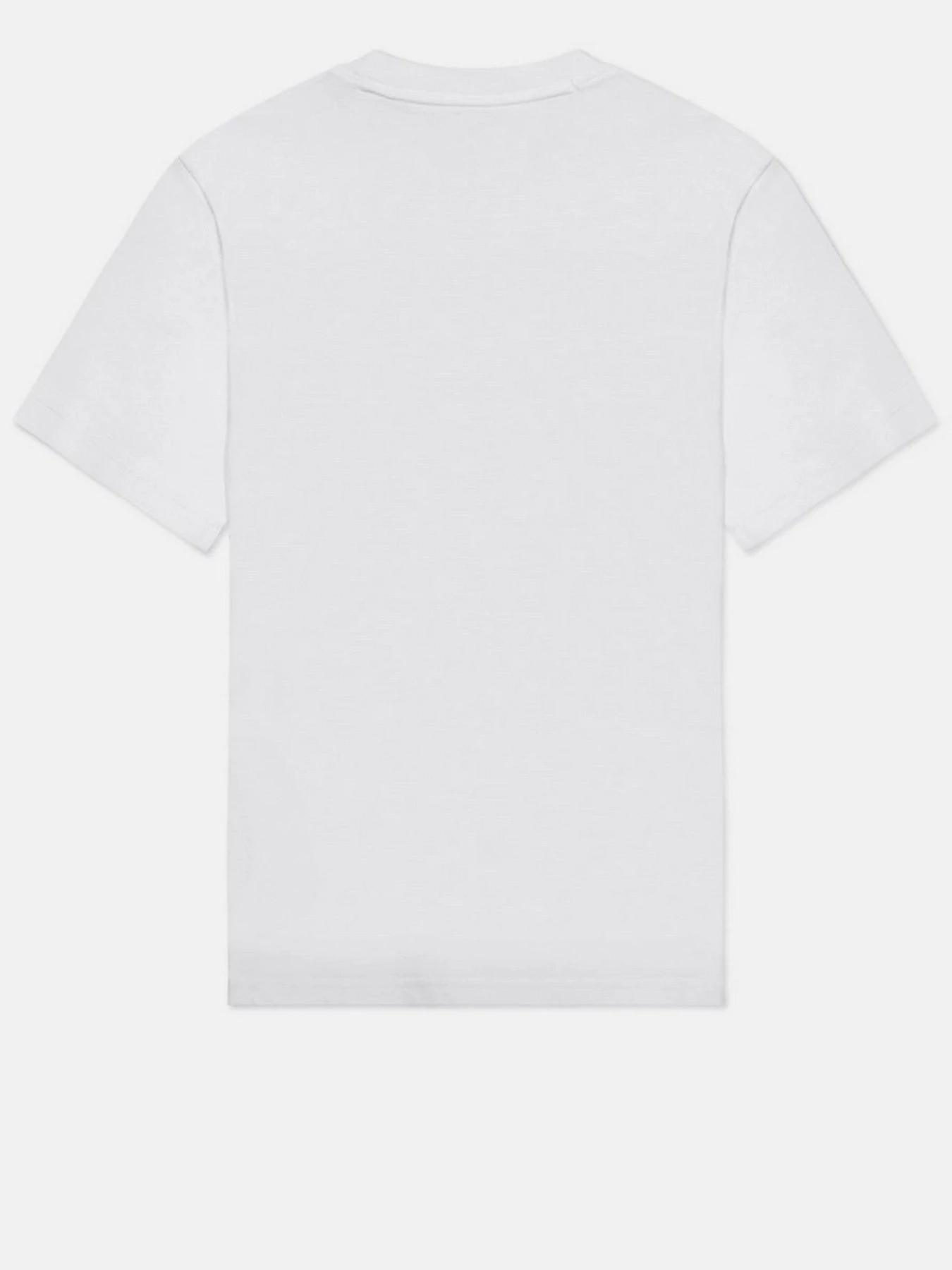 Футболки и поло Dickies Icon Logo Tee модель DK0A4XCAWHX1 Футболки и поло Dickies Icon Logo Tee модель DK0A4XCAWHX1 Фото