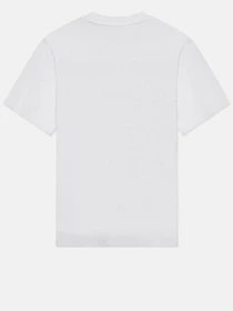 Футболки и поло Dickies Icon Logo Tee модель DK0A4XCAWHX1 Фото