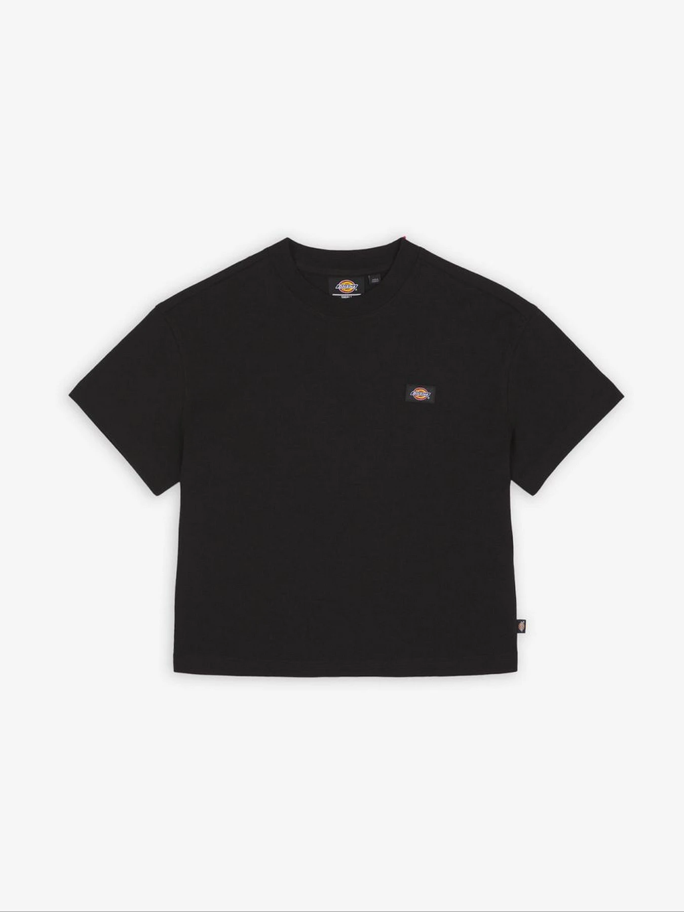 Футболки и поло Dickies Oakport Boxy Tea модель DK0A4Y8LBLK1 Футболки и поло Dickies Oakport Boxy Tea модель DK0A4Y8LBLK1 Фото