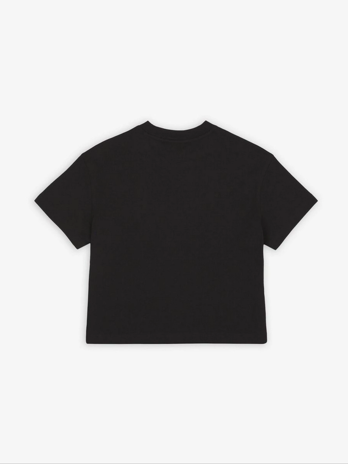 Футболки и поло Dickies Oakport Boxy Tea модель DK0A4Y8LBLK1 Футболки и поло Dickies Oakport Boxy Tea модель DK0A4Y8LBLK1 Фото