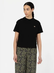 Футболки і поло Dickies Oakport Boxy Tea модель DK0A4Y8LBLK1 Фото