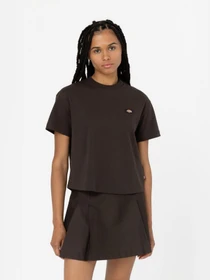 Футболки и поло Dickies Oakport Boxy модель DK0A4Y8LDBX1 Фото