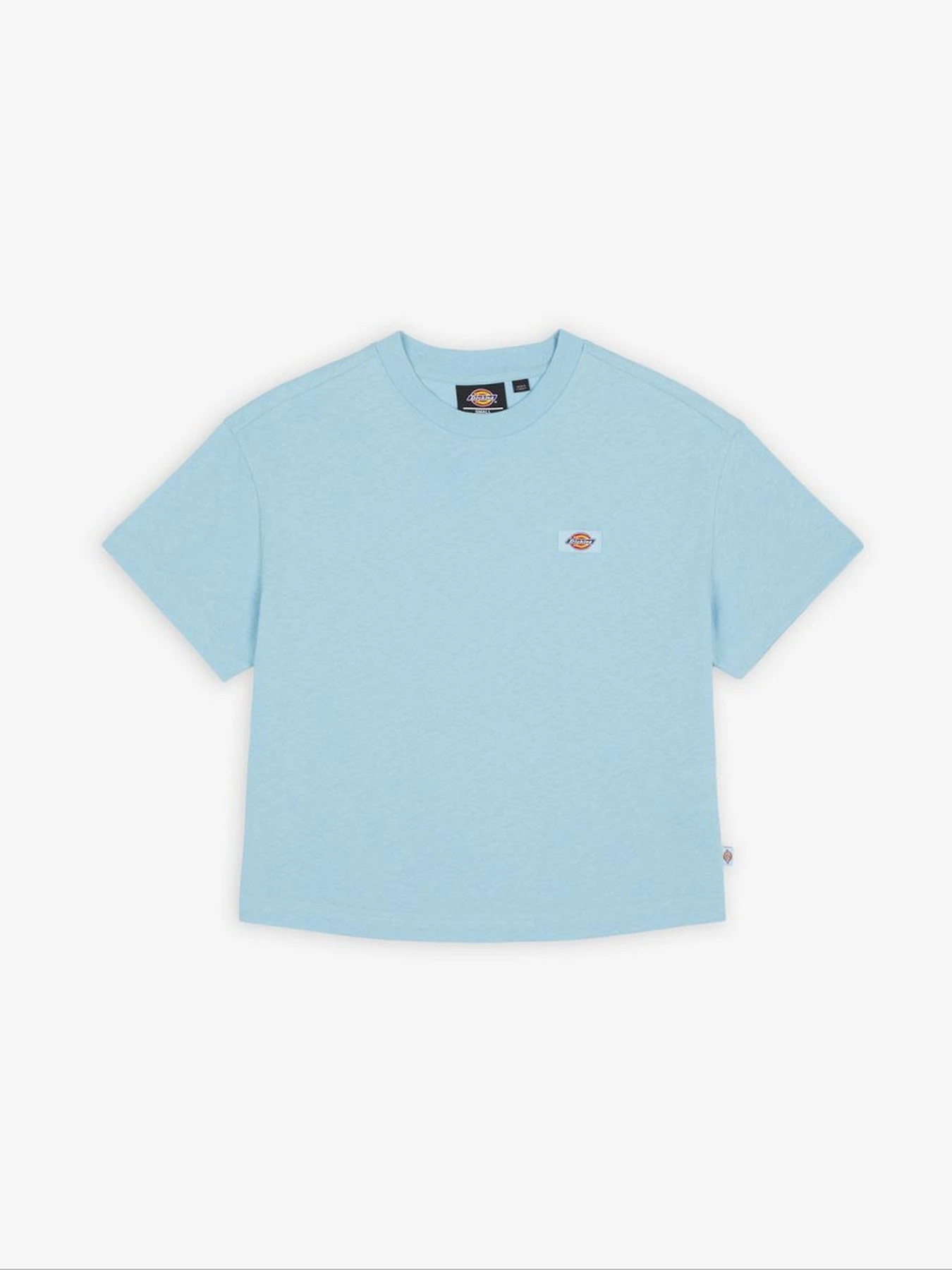 Футболки и поло Dickies модель DK0A4Y8LE651 Футболки и поло Dickies модель DK0A4Y8LE651 Фото