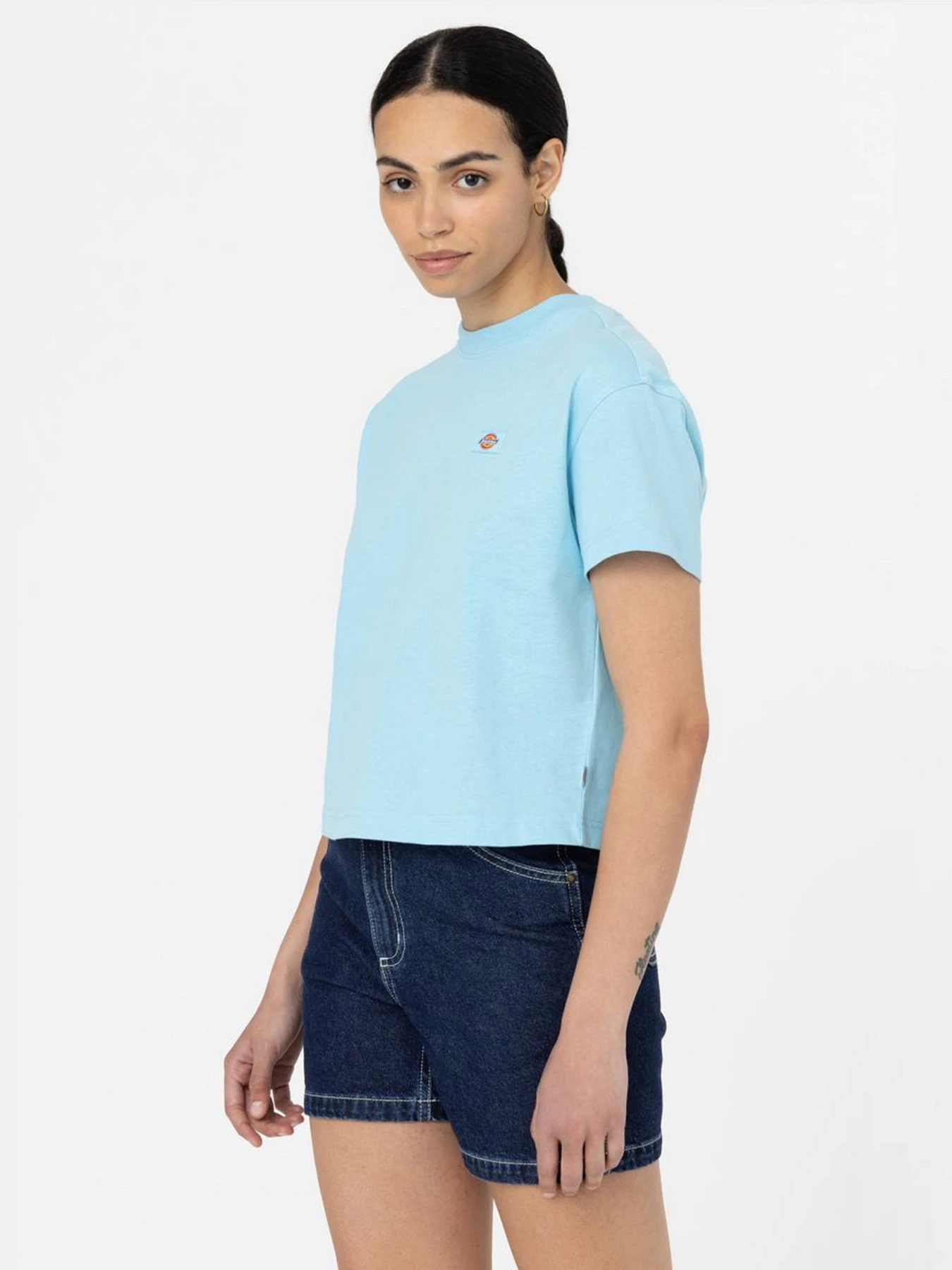 Футболки и поло Dickies модель DK0A4Y8LE651 Футболки и поло Dickies модель DK0A4Y8LE651 Фото