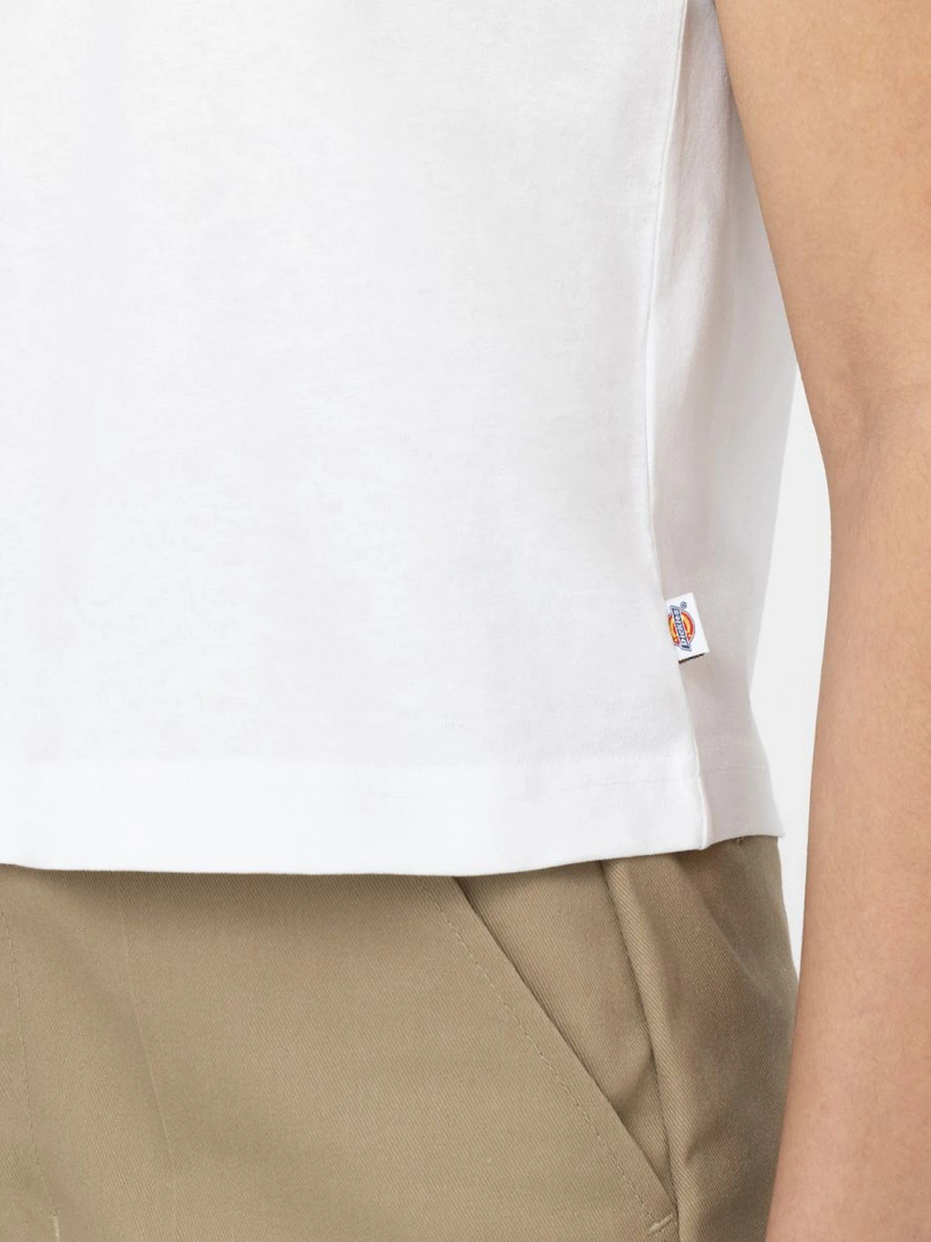 Футболки и поло Dickies Oakport Cropped Boxy модель DK0A4Y8LWHX1 Фото