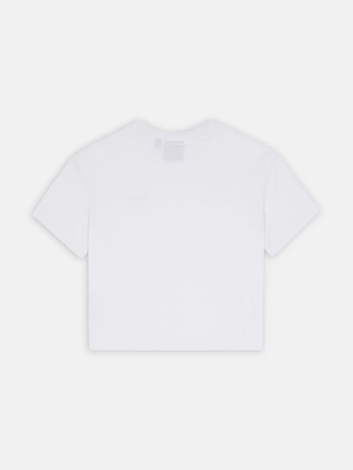Футболки и поло Dickies Oakport Cropped Boxy модель DK0A4Y8LWHX1 Фото