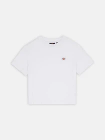 Футболки и поло Dickies Oakport Cropped Boxy модель DK0A4Y8LWHX1 Фото