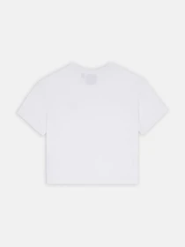 Футболки и поло Dickies Oakport Cropped Boxy модель DK0A4Y8LWHX1 Фото