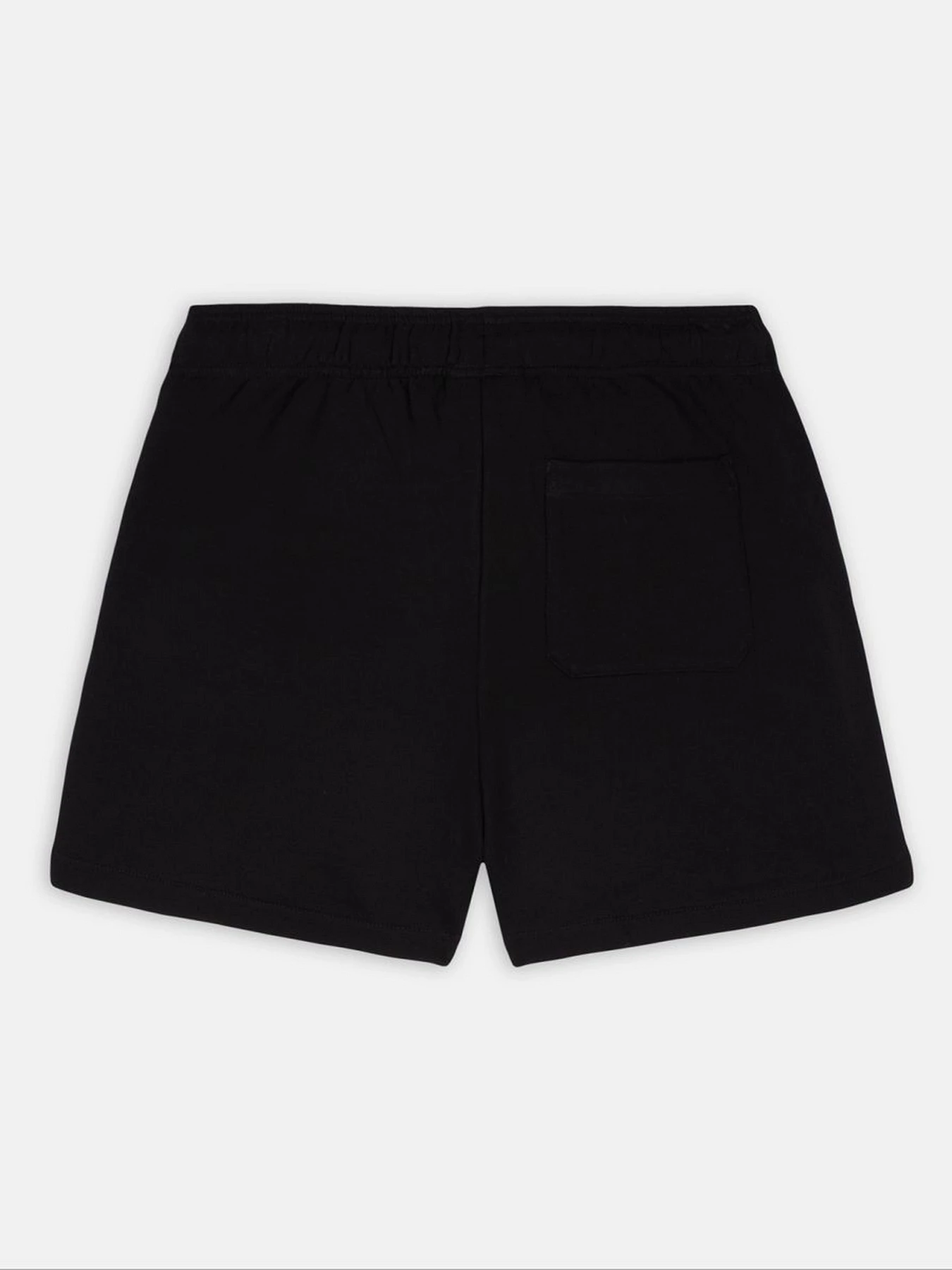 Шорты Dickies Mapleton модель DK0A4YB6BLK1 Шорты Dickies Mapleton модель DK0A4YB6BLK1 Фото