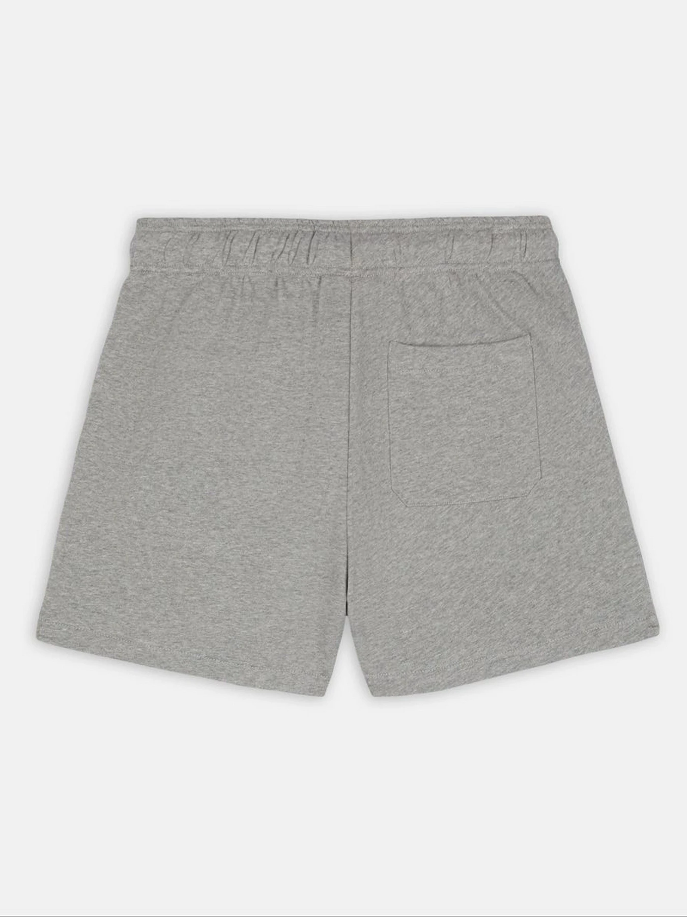 Шорты Dickies Mapleton модель DK0A4YB6GYM1 Шорты Dickies Mapleton модель DK0A4YB6GYM1 Фото