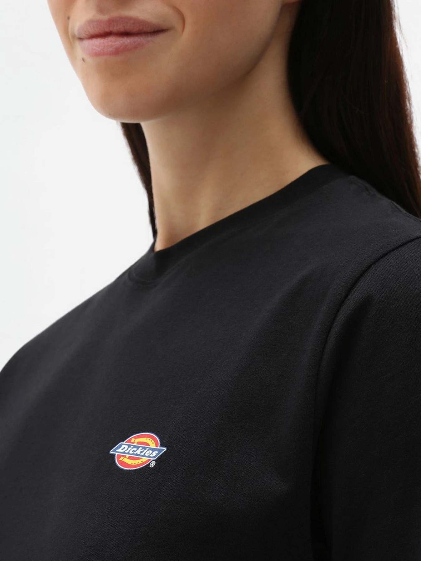 Футболки и поло Dickies Mapleton модель DK0A4XDABLK1 Футболки и поло Dickies Mapleton модель DK0A4XDABLK1 Фото