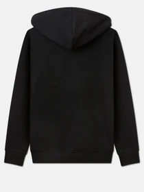Худі та світшоти Dickies Icon Logo модель DK0A4XCCBLK1 Фото